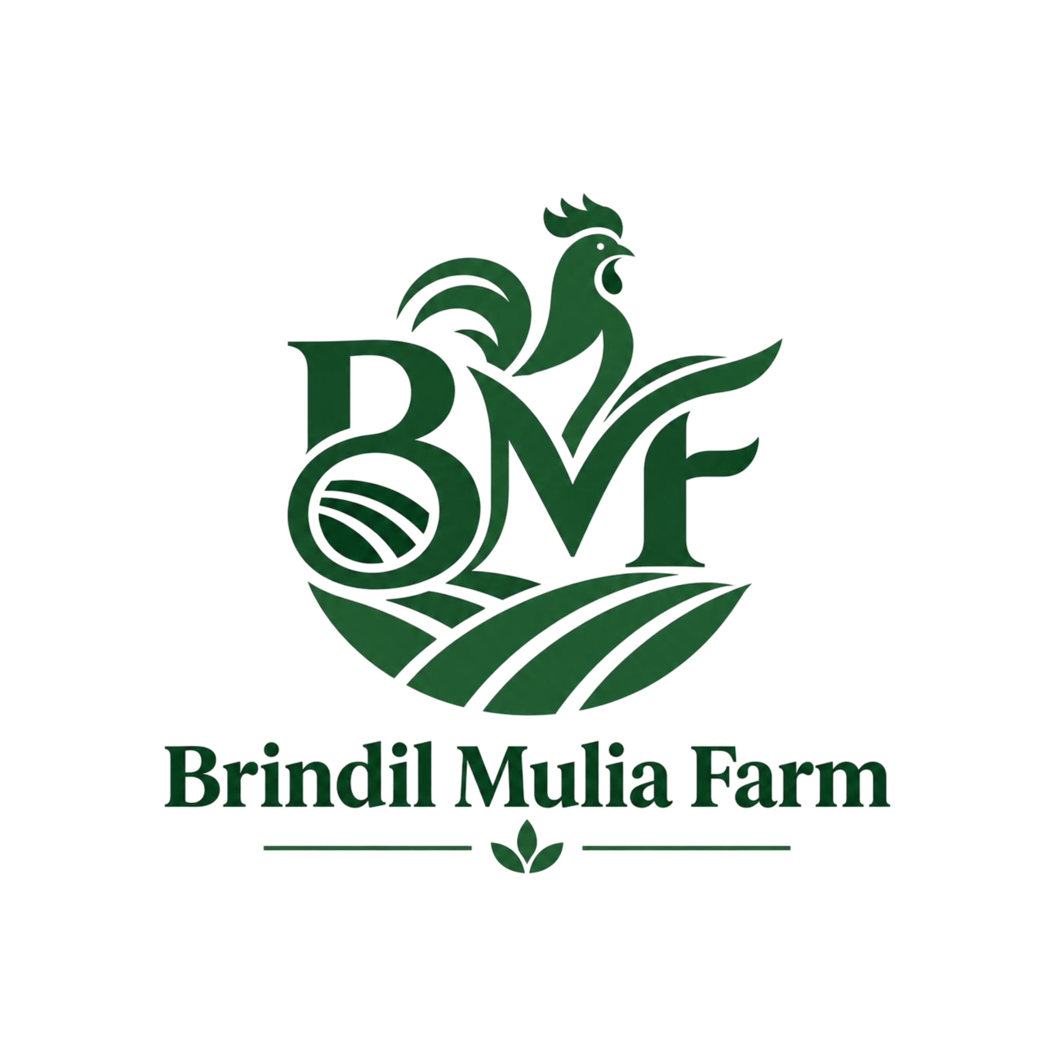 BMF ( Brindil )
